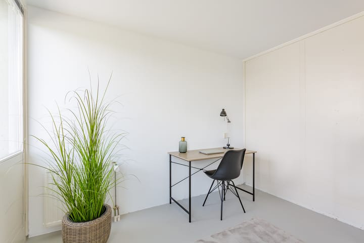 Foto 43 van Schotse Hooglanden 40