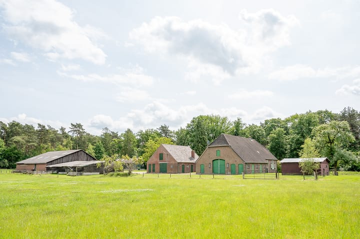 Foto 10 van Bielemansdijk 12