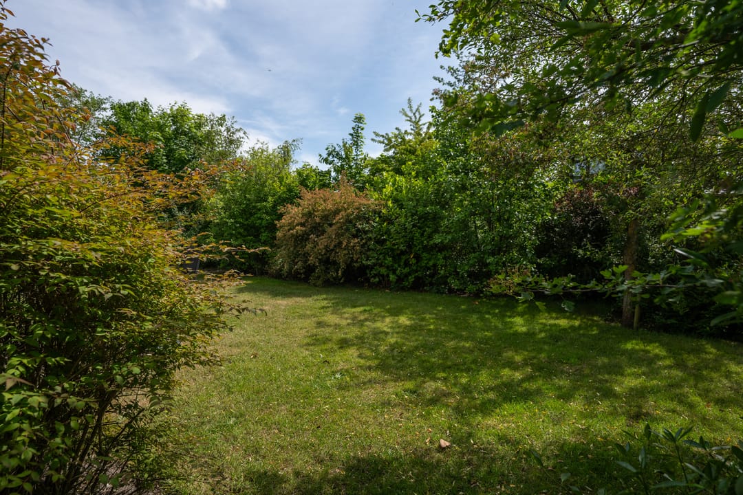 Photo 41 of Roggeslootweg 201