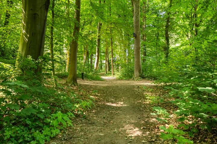 Foto 37 van Van Marnixlaan 56