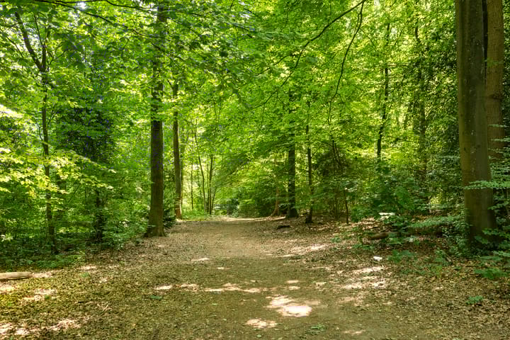 Foto 38 van Van Marnixlaan 56