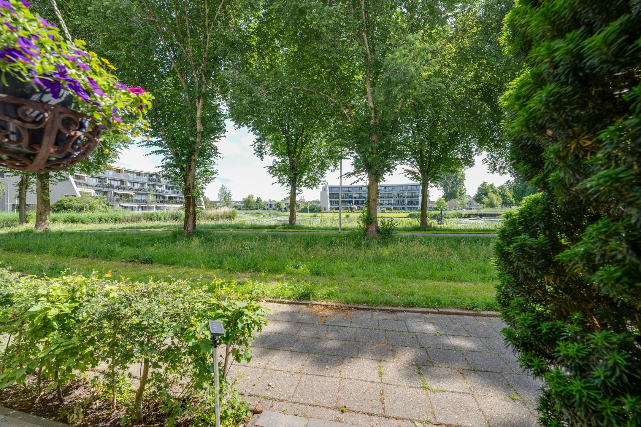 Photo 3 of Vrijheidsplantsoen 6