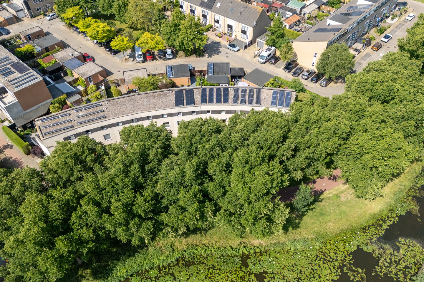 Photo 5 of Vrijheidsplantsoen 6