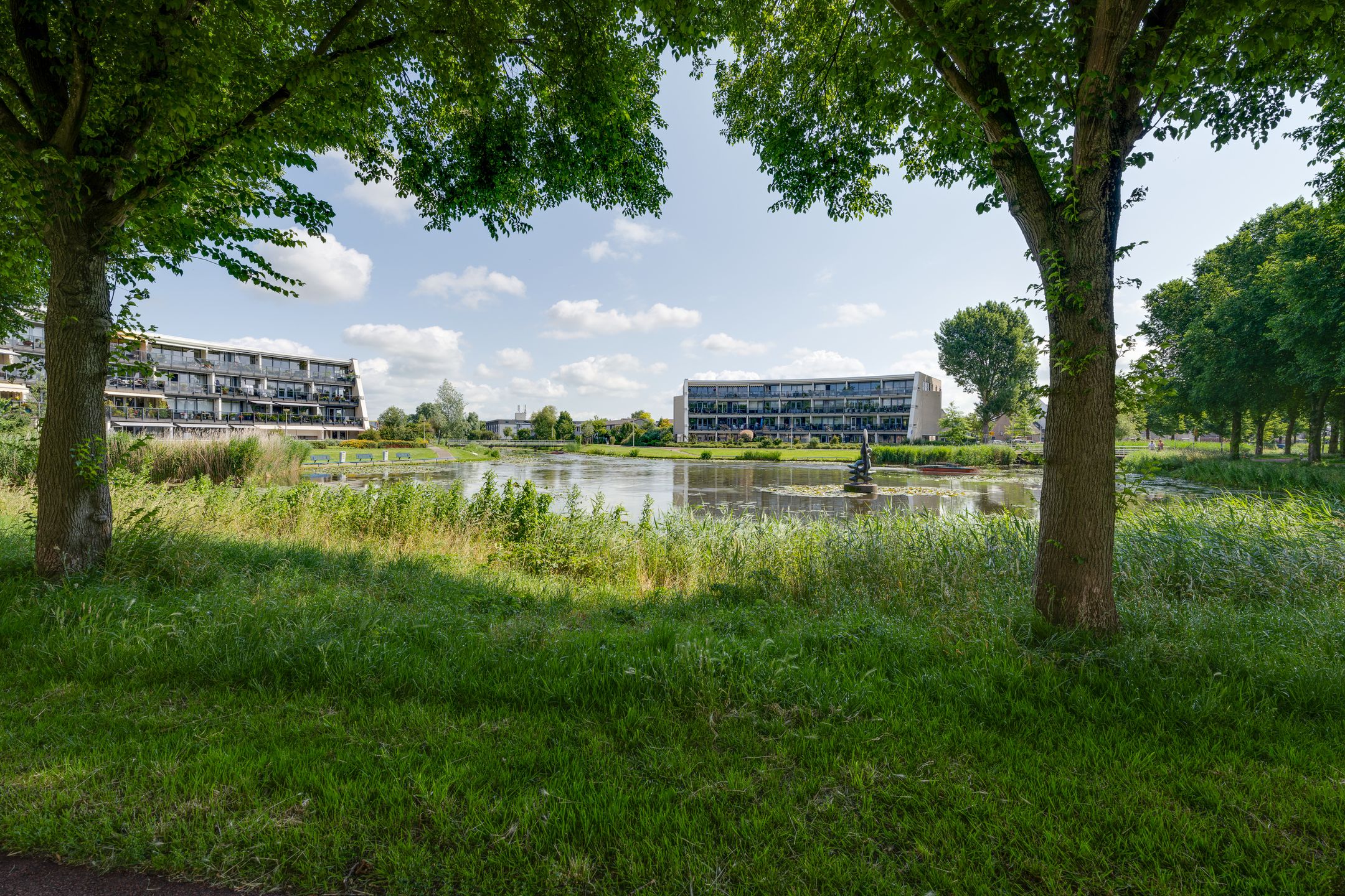 Photo 57 of Vrijheidsplantsoen 6