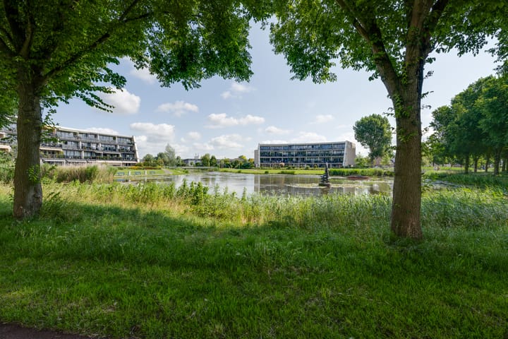 Foto 57 van Vrijheidsplantsoen 6