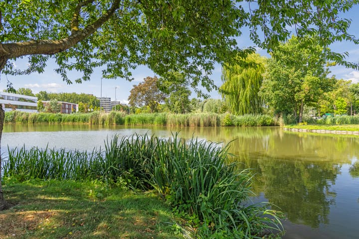 Foto 47 van Vijfkamp 15