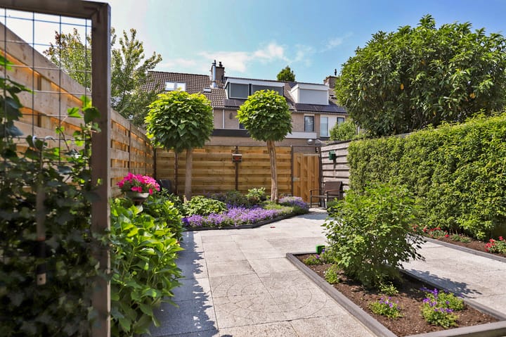 Foto 28 van Pluutwerf 22