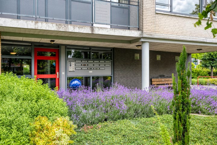 Foto 4 van Hof van Cambridge 153