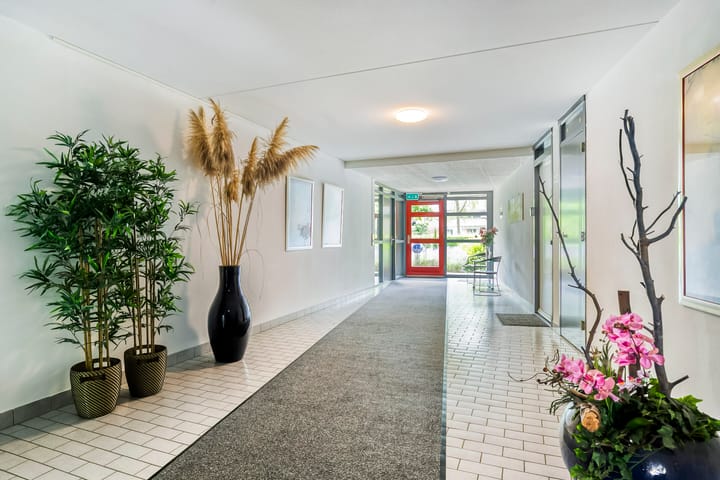 Photo 7 of Hof van Cambridge 153