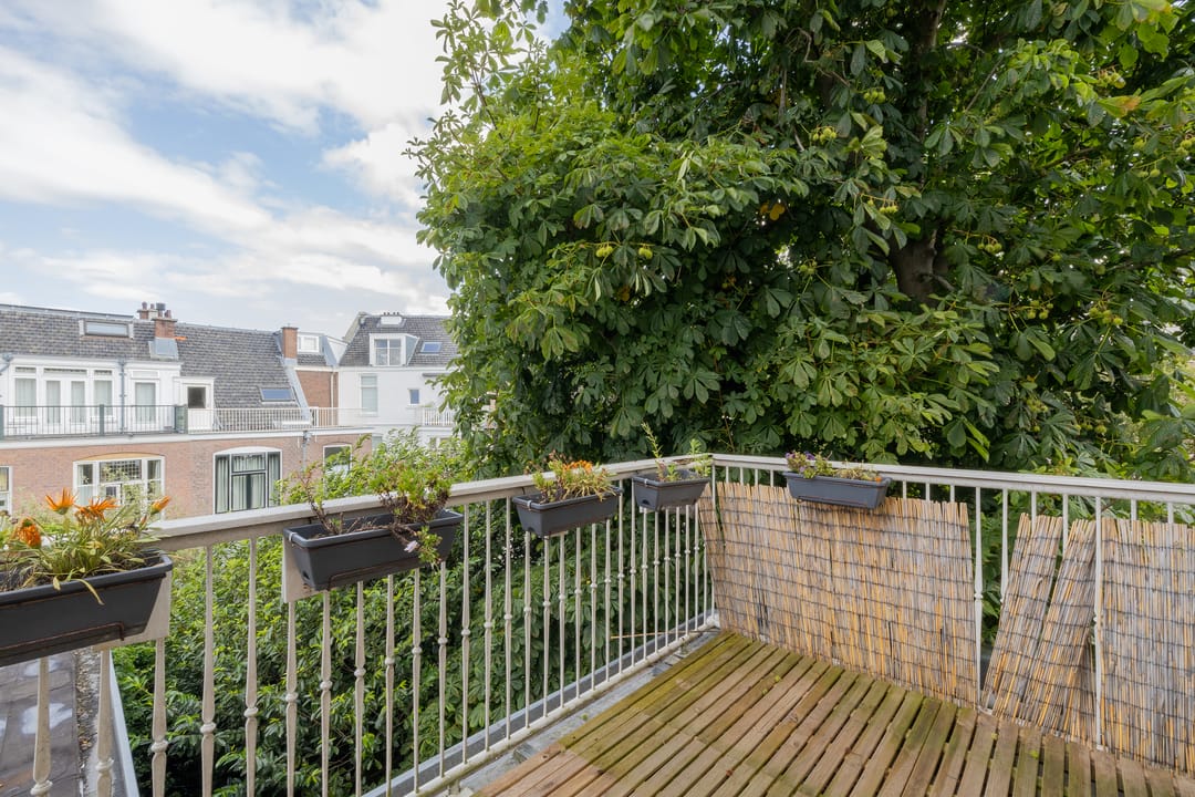 Foto 16 van Obrechtstraat 13-A