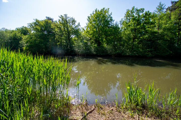 Photo 36 of Beethovengaarde 27