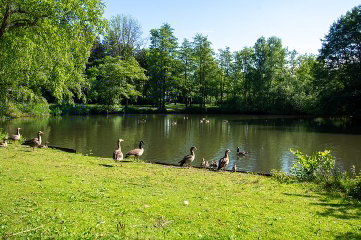 Photo 38 of Beethovengaarde 27