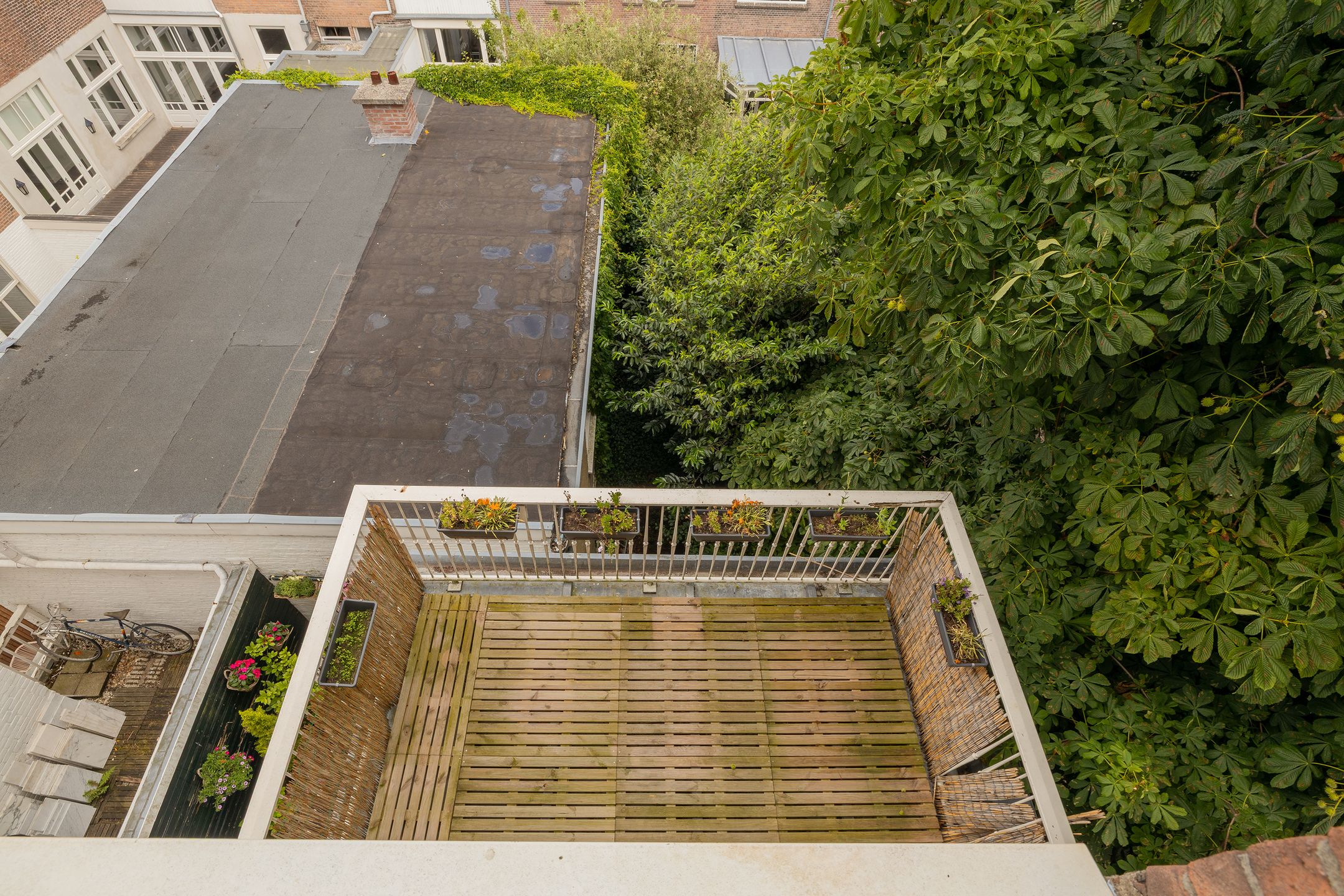 Foto 45 van Obrechtstraat 13-A