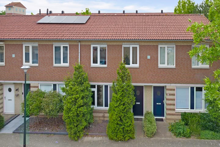 undefined main image