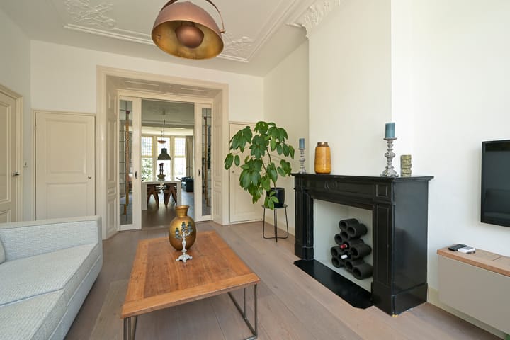 Foto 2 van Van Loostraat 50