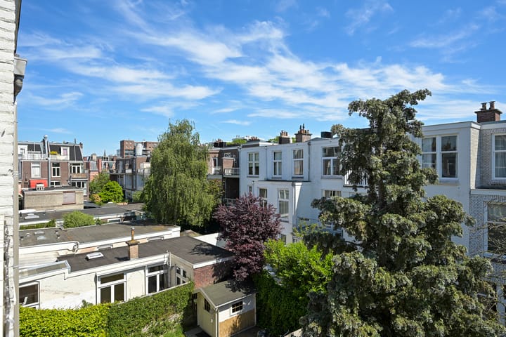 Foto 23 van Van Loostraat 50