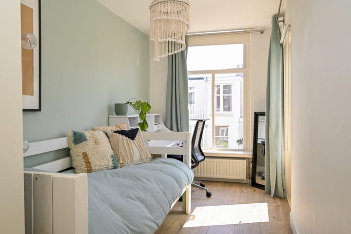 Foto 24 van Van Loostraat 50