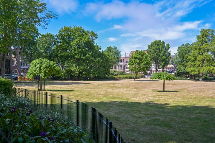 Foto 35 van Van Loostraat 50