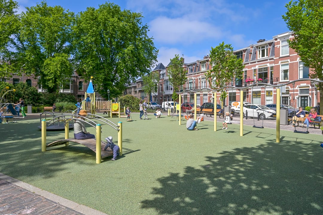 Foto 38 van Van Loostraat 50