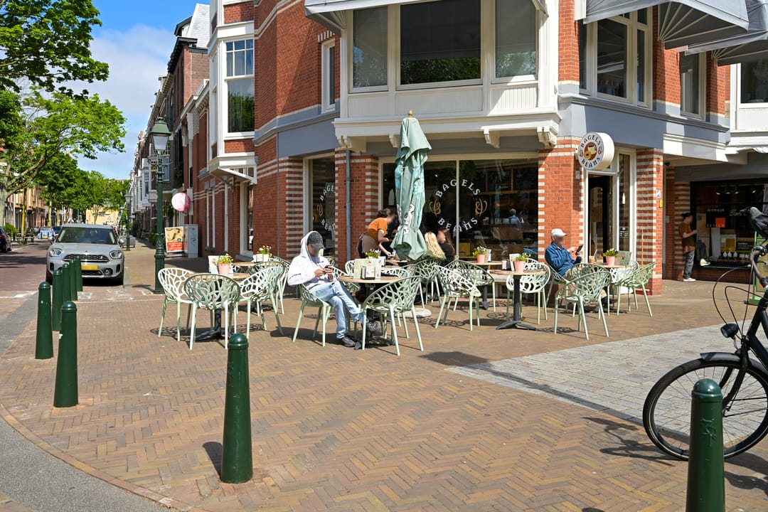 Foto 41 van Van Loostraat 50