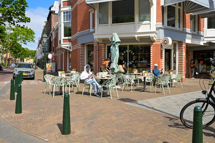 Foto 41 van Van Loostraat 50