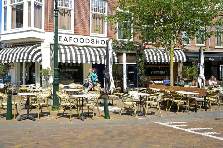 Foto 42 van Van Loostraat 50