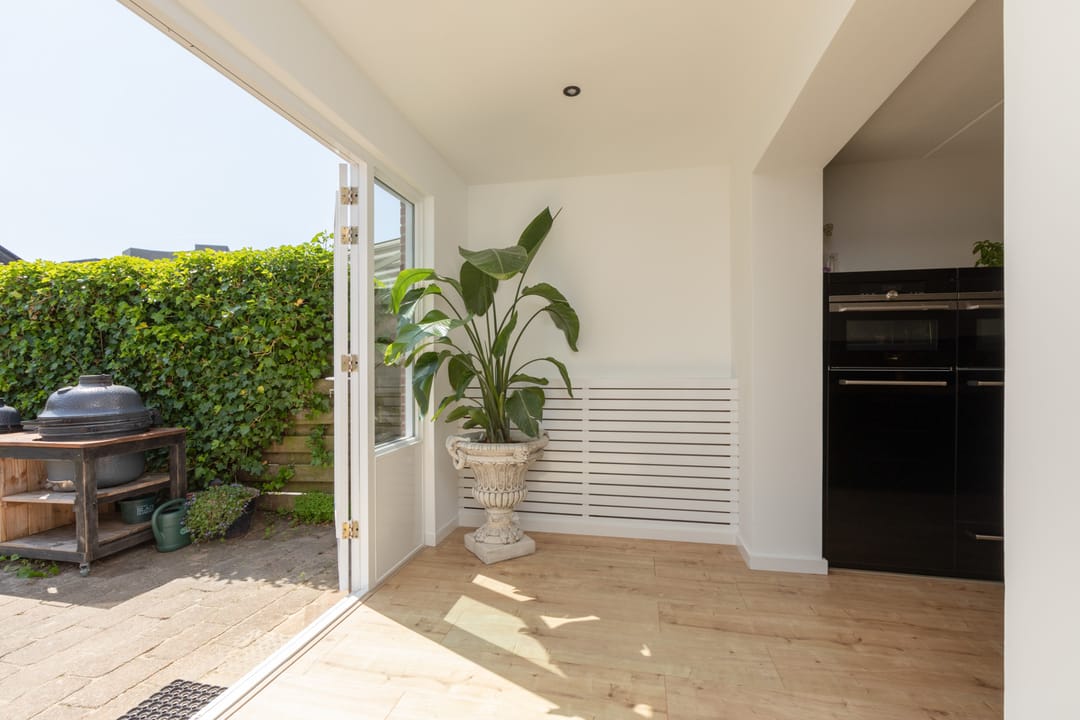 Foto 11 van Kleine vos 11