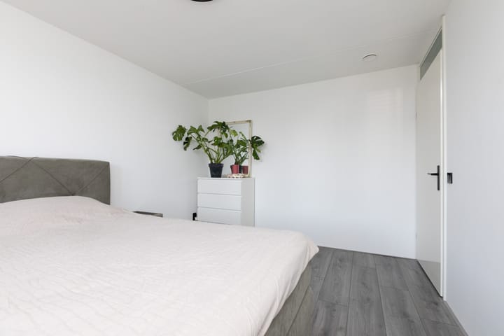 Foto 16 van Kleine vos 11