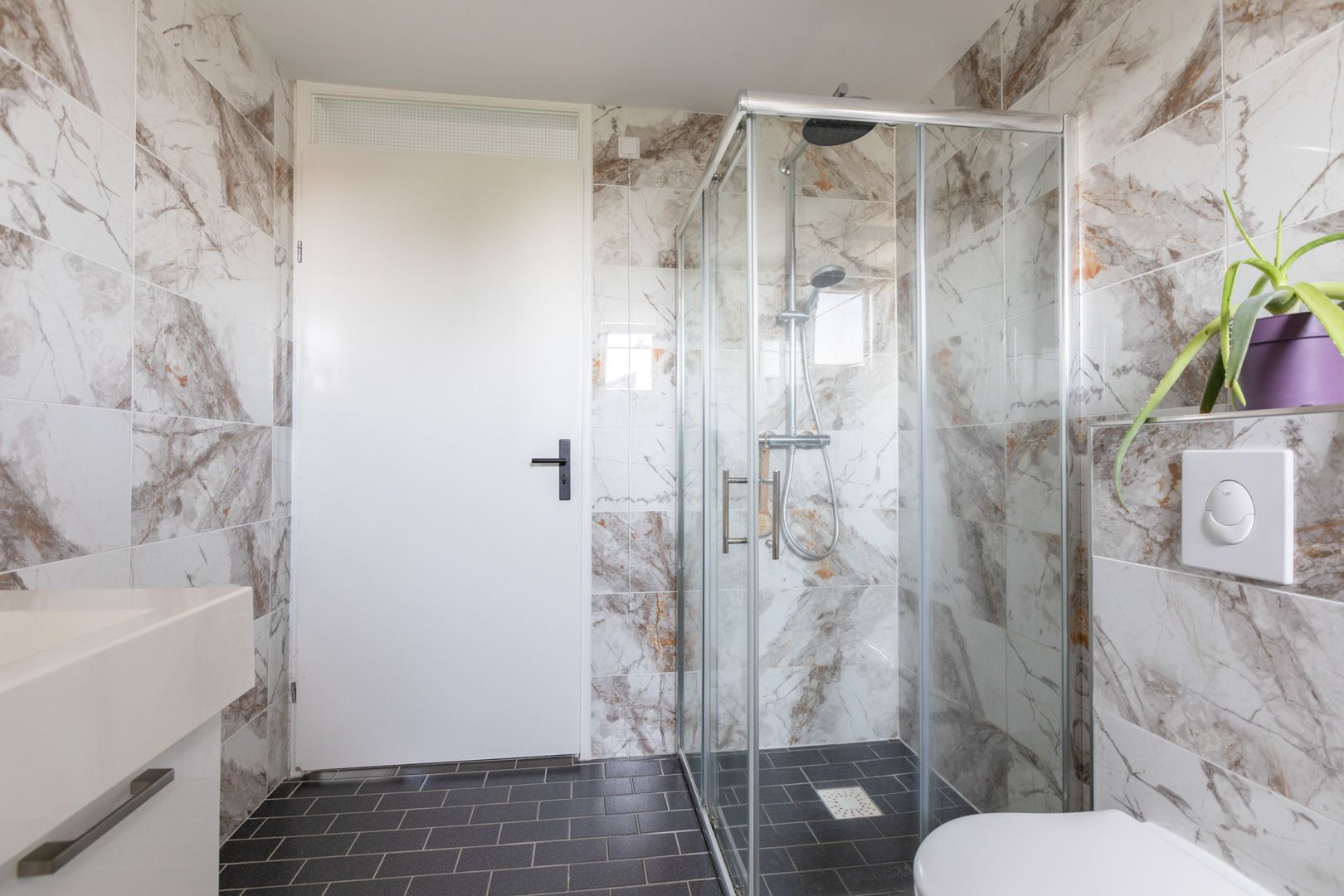 Foto 21 van Kleine vos 11