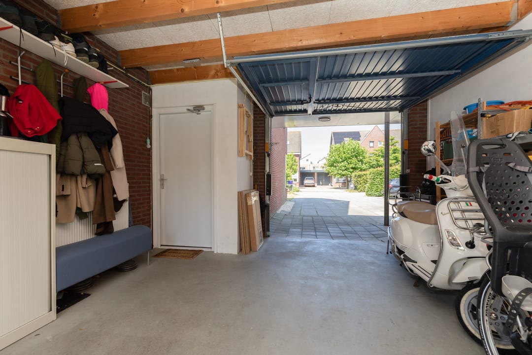 Foto 32 van Kleine vos 11