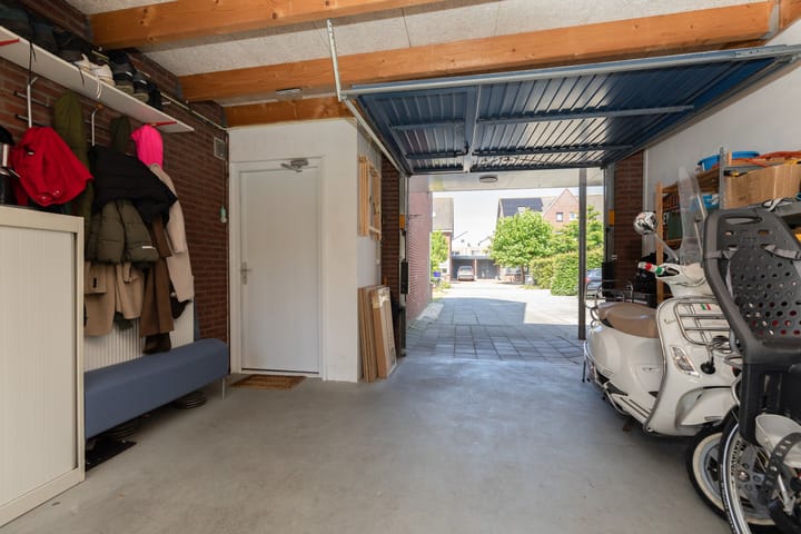 Foto 32 van Kleine vos 11