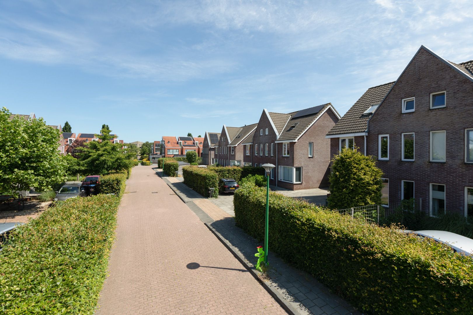 Foto 42 van Kleine vos 11