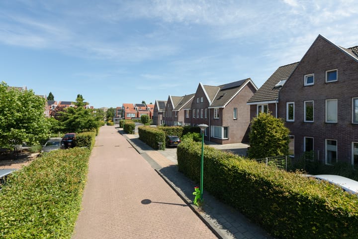 Foto 42 van Kleine vos 11