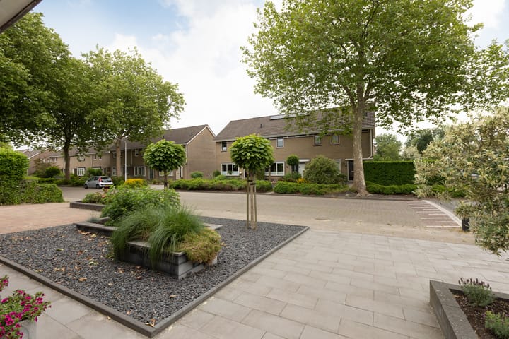 Foto 42 van Jellen 7