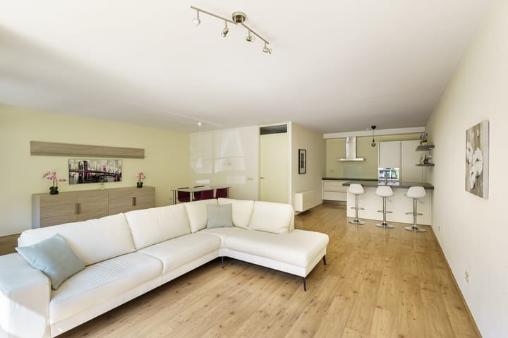 Foto 2 van Amazonestroom 10