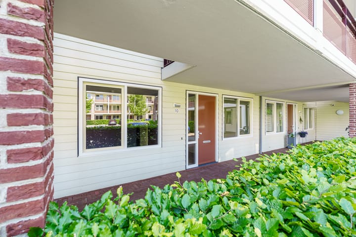 Foto 4 van Amazonestroom 10