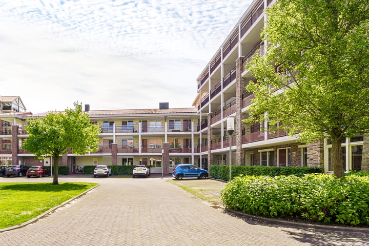 Foto 5 van Amazonestroom 10