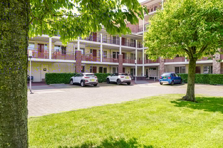 Foto 22 van Amazonestroom 10