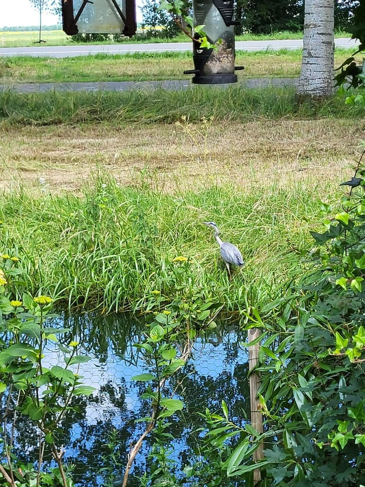 Foto 60 van Hofstede 19