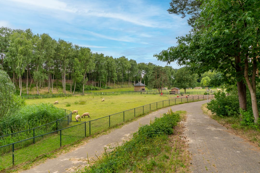 Foto 43 van Dierenriem 30