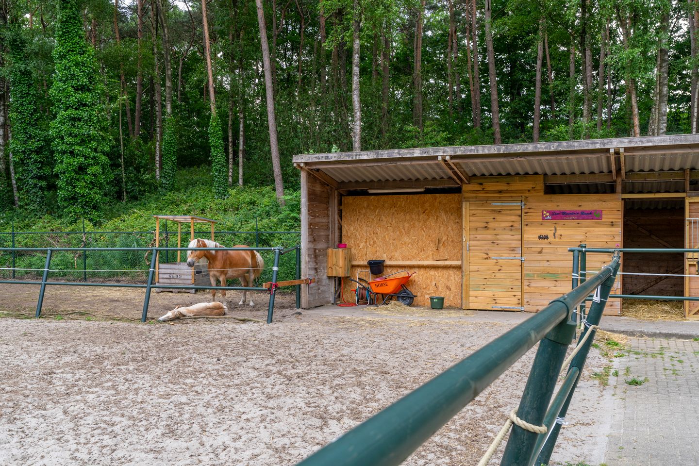 Foto 44 van Dierenriem 30