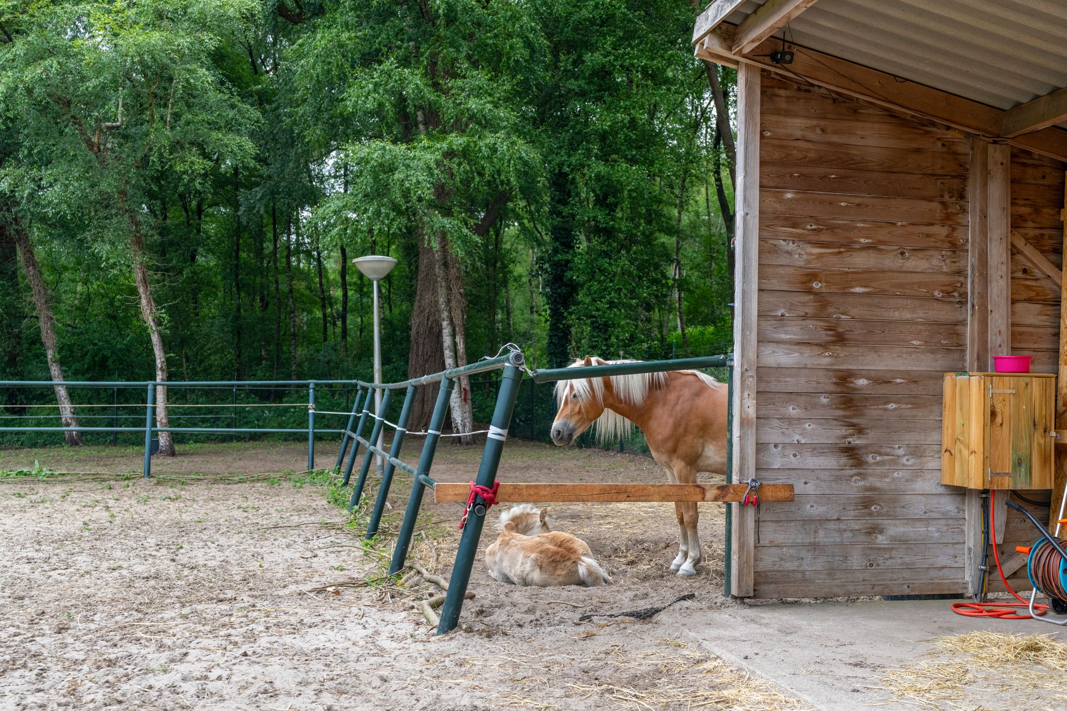 Foto 45 van Dierenriem 30