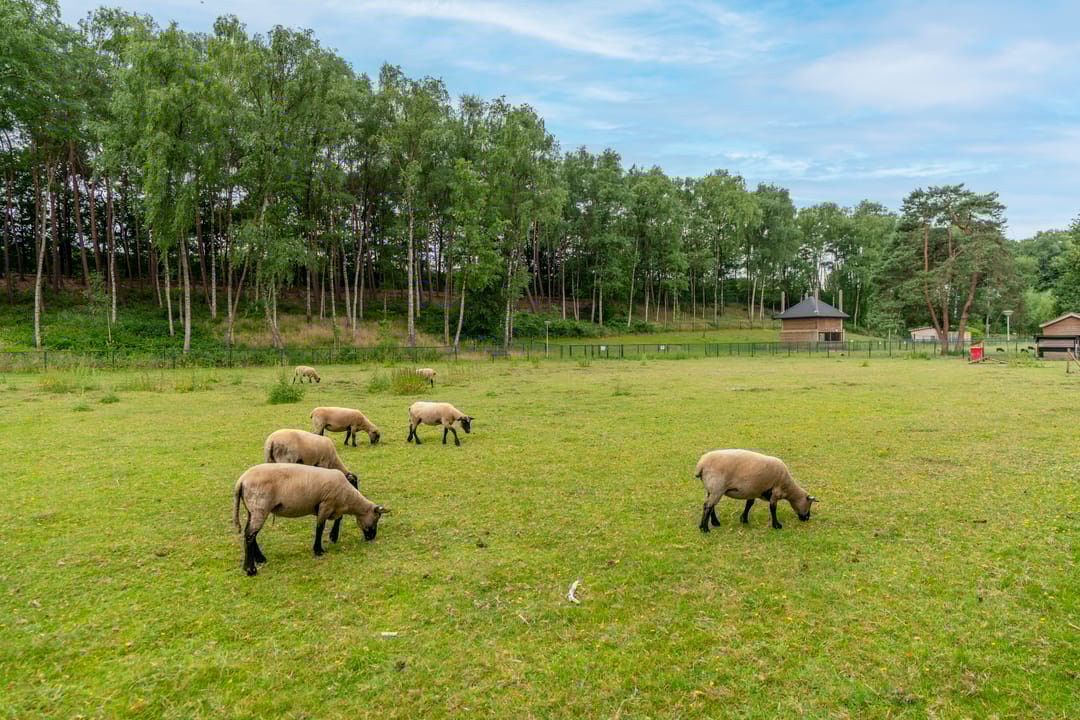 Foto 46 van Dierenriem 30