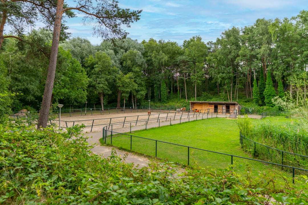 Foto 47 van Dierenriem 30