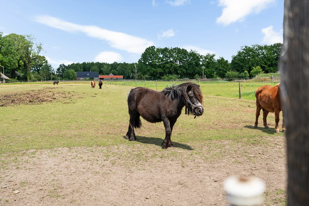 Photo 52 of Hoofdstraat 3