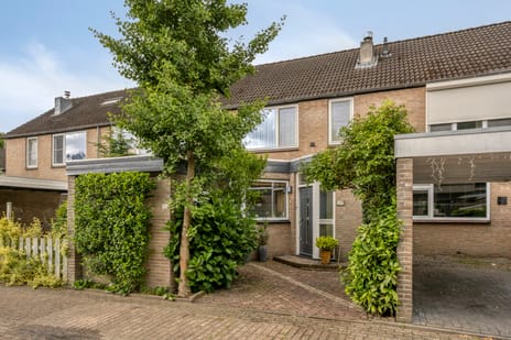 Staringstraat thumbnail