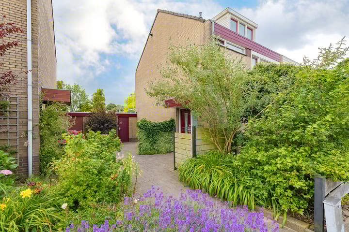 Foto 8 van Boompjesven 29