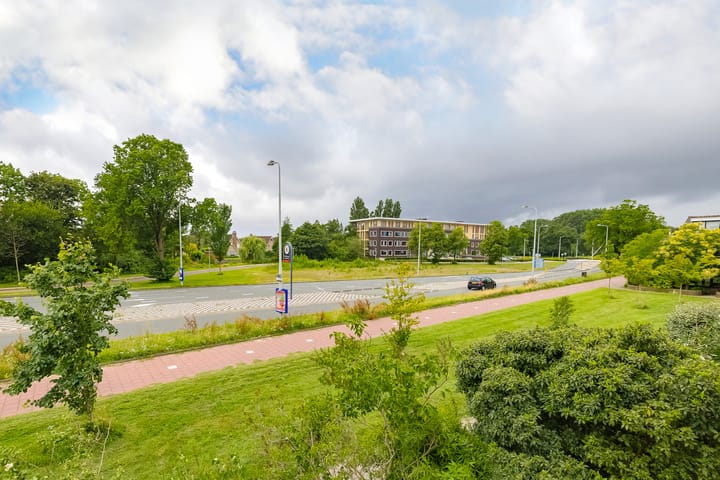 Foto 35 van Boompjesven 29