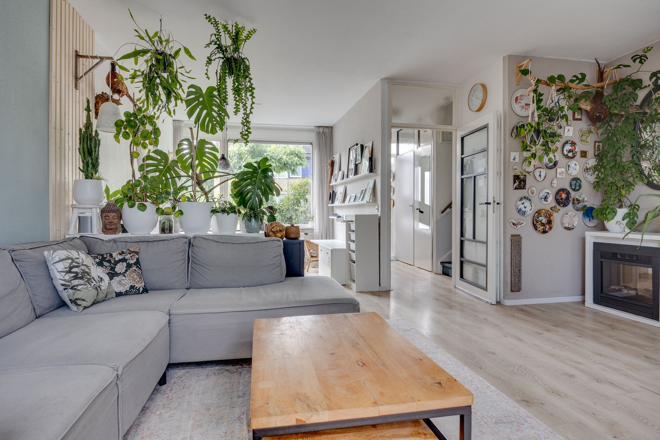 Foto 3 van Hondsdraf 20