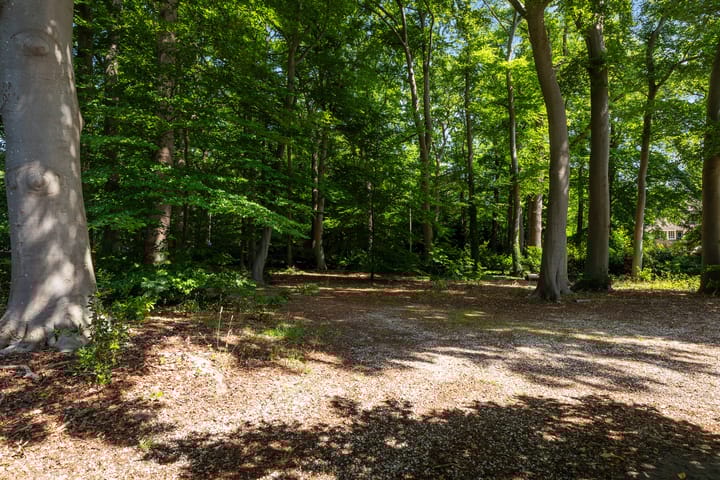 Foto 60 van Zutphenseweg 20